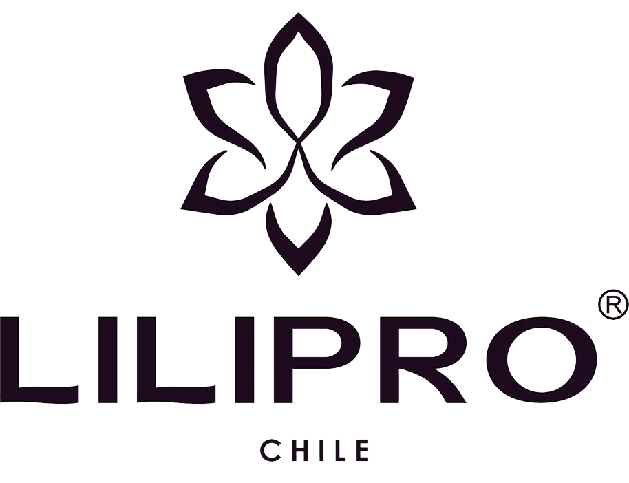 Logo Lilipro Chile